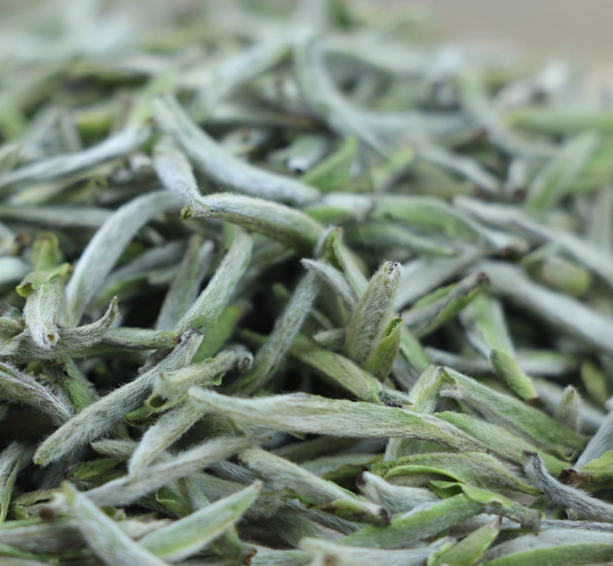 high mountain white tea