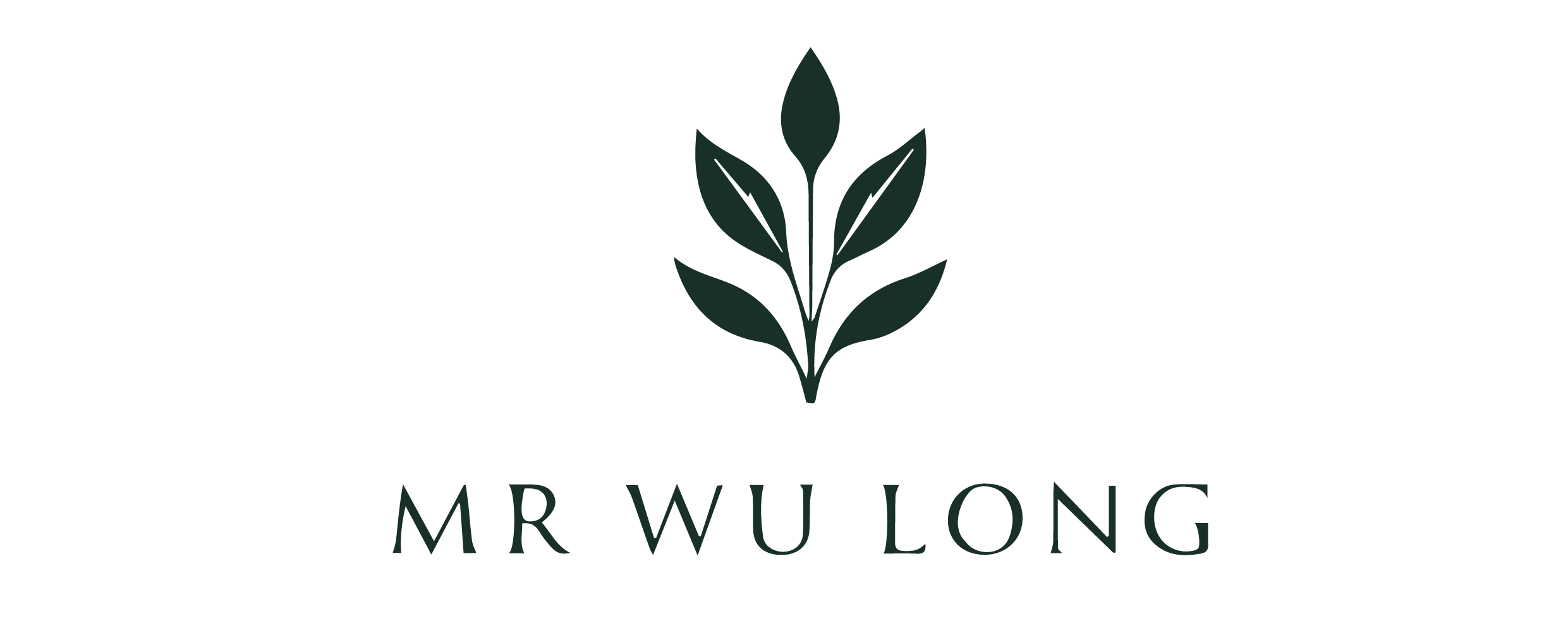 Mr Wu Long